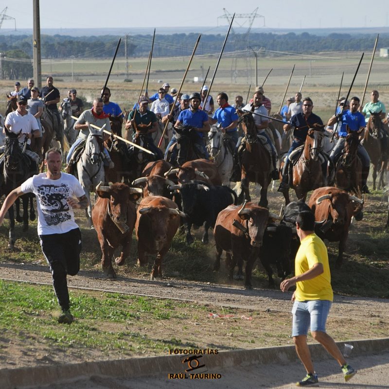 400776681_847116864087861_2625150989389371521_n