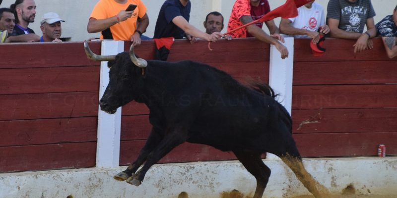 401044785_847118760754338_3763261268402611065_n