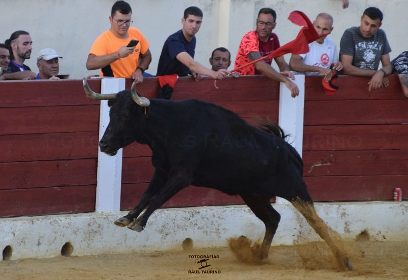 401044785_847118760754338_3763261268402611065_n