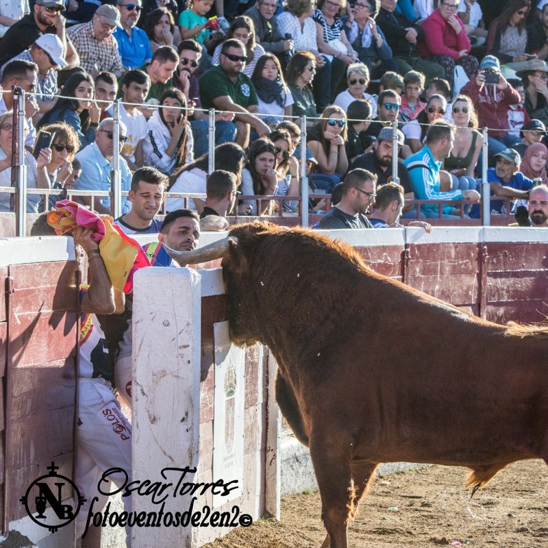 74494669_2387488374802268_7924045830250561536_n